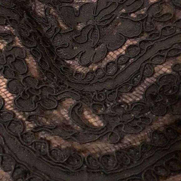 Lillie Rubin lace & chiffon formal dress - Picture 5 of 8